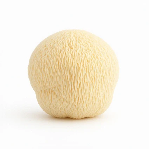 Lion’s Mane